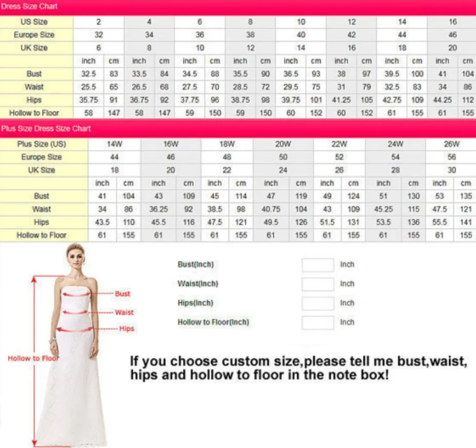 Anneprom A-line Prom Dresses Spaghetti Straps Elegant Lace Long Prom Dress Evening Dresses APW0266