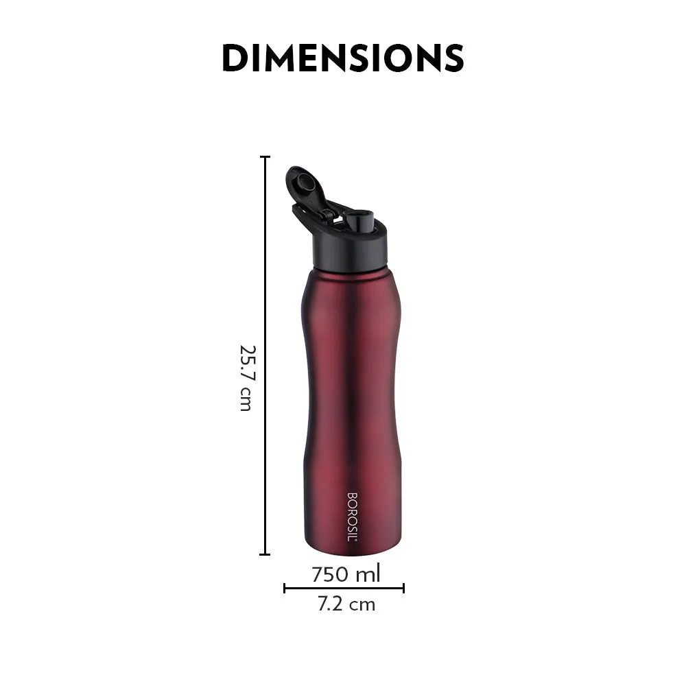 Borosil Grip n Sip Maroon