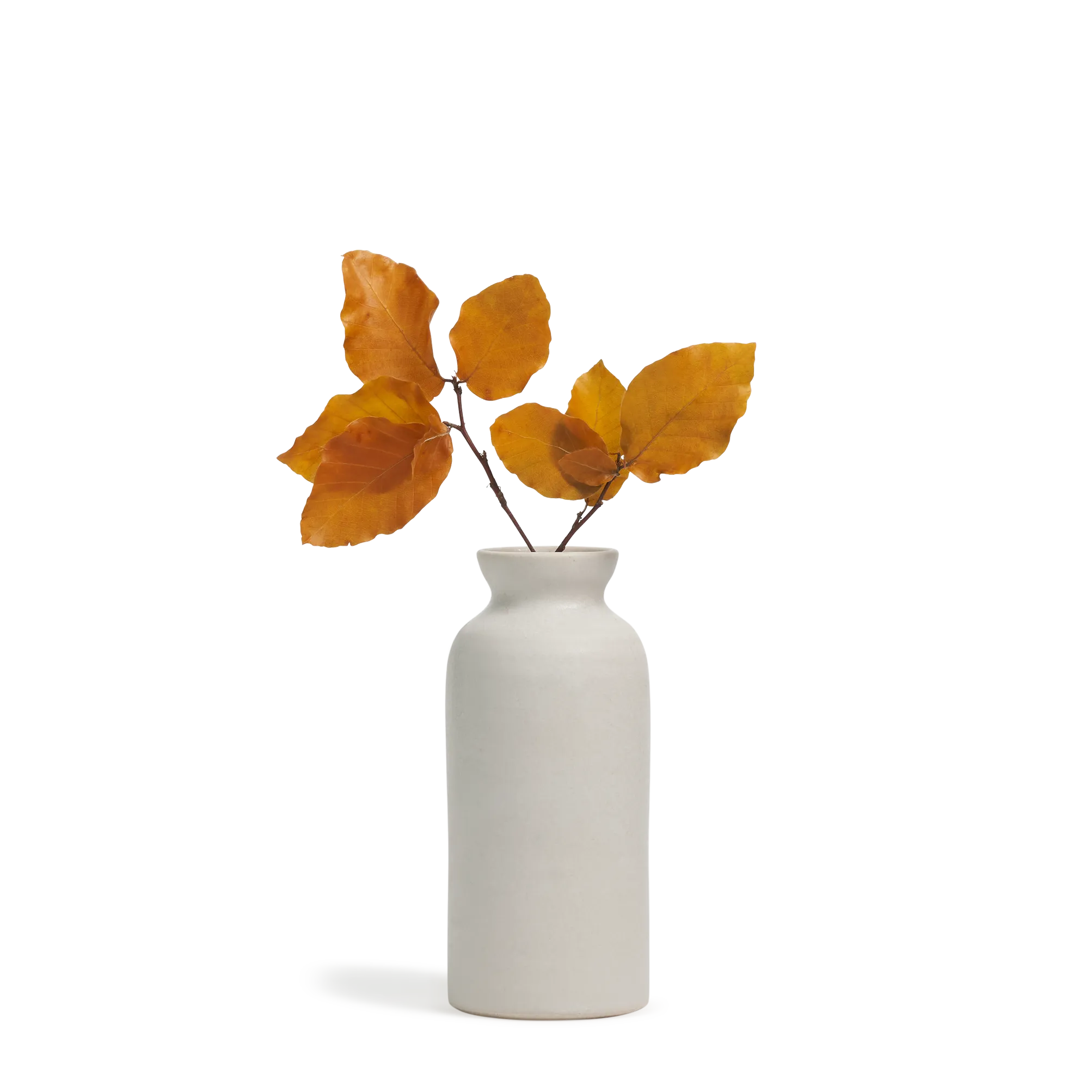 Bottle Vase