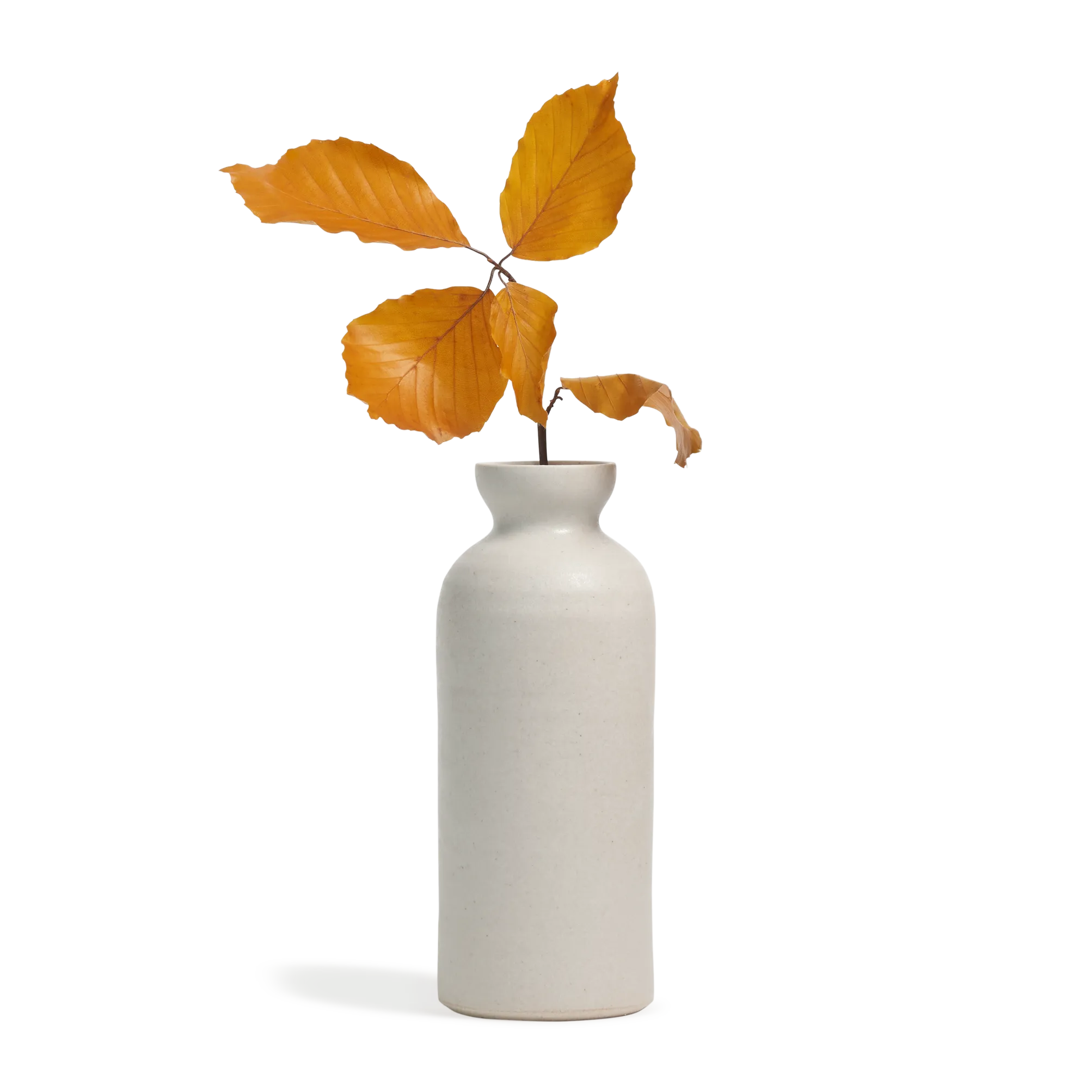 Bottle Vase