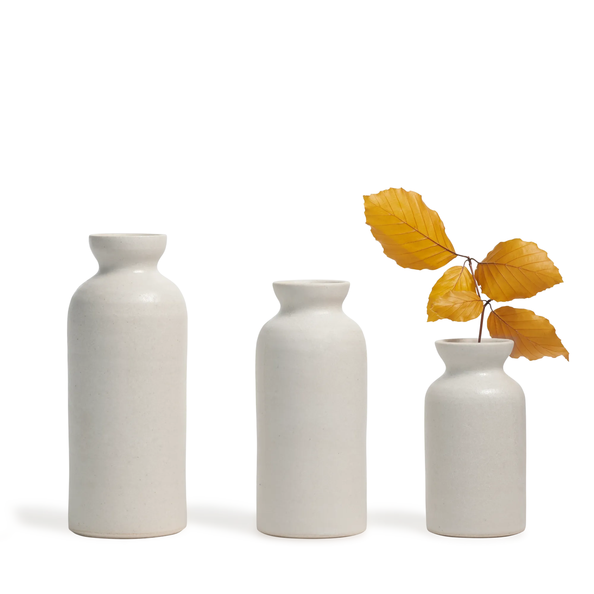 Bottle Vase