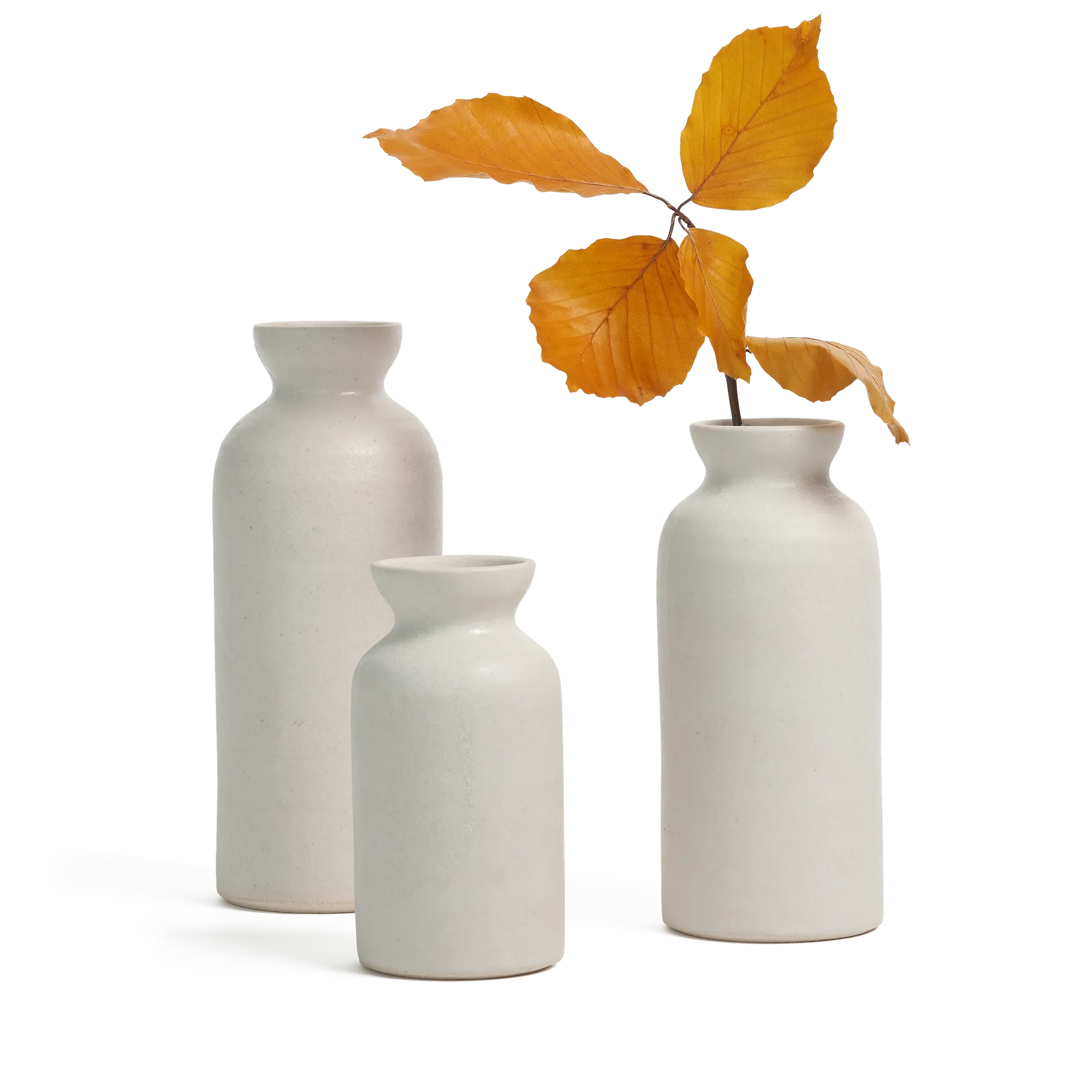 Bottle Vase