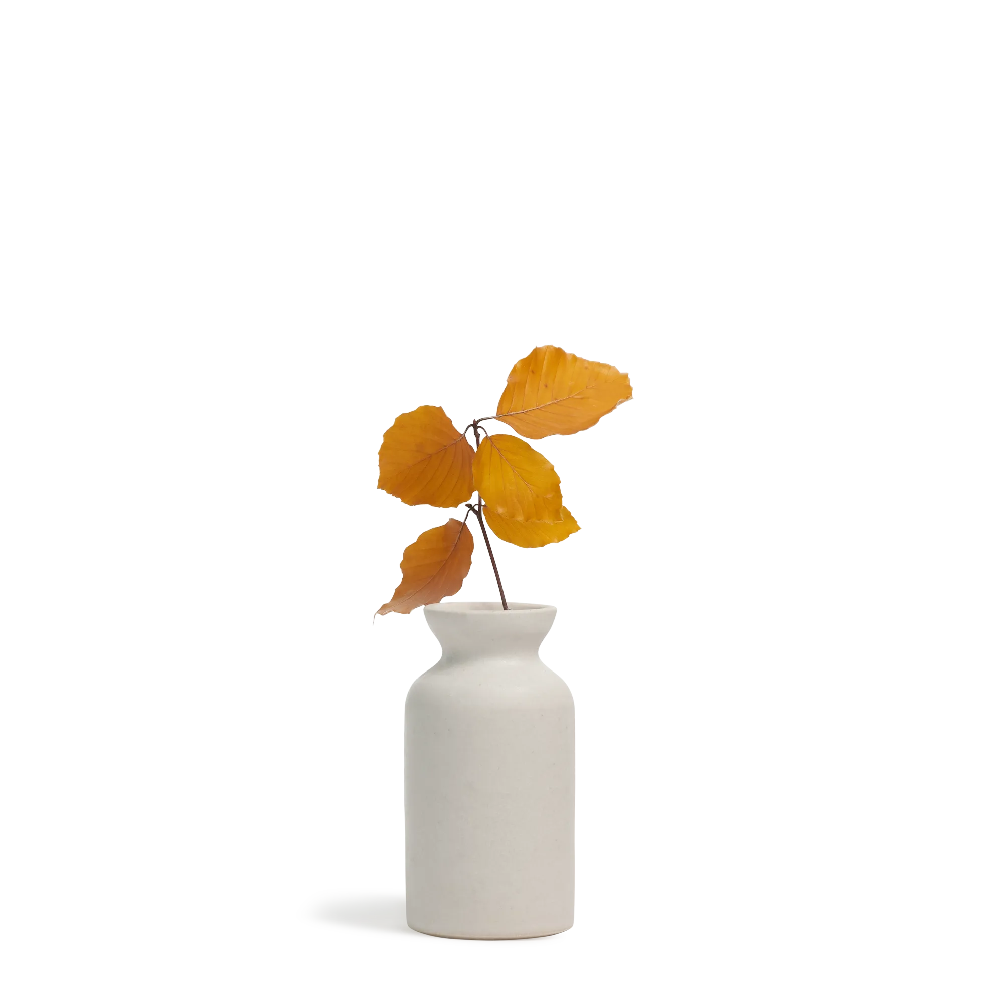 Bottle Vase