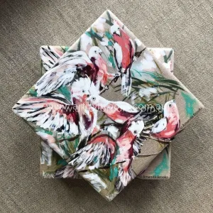 Gorgeous galahs
