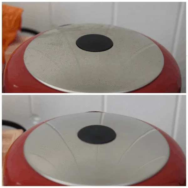 Multi-Purpose Cleaner and Polish