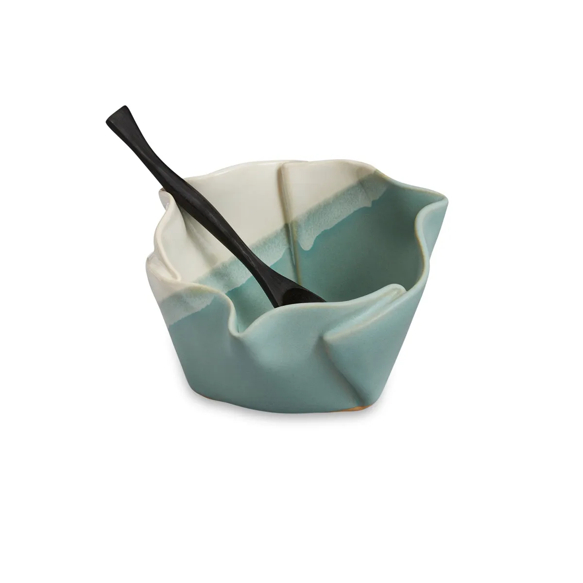 Multi Purpose Dish