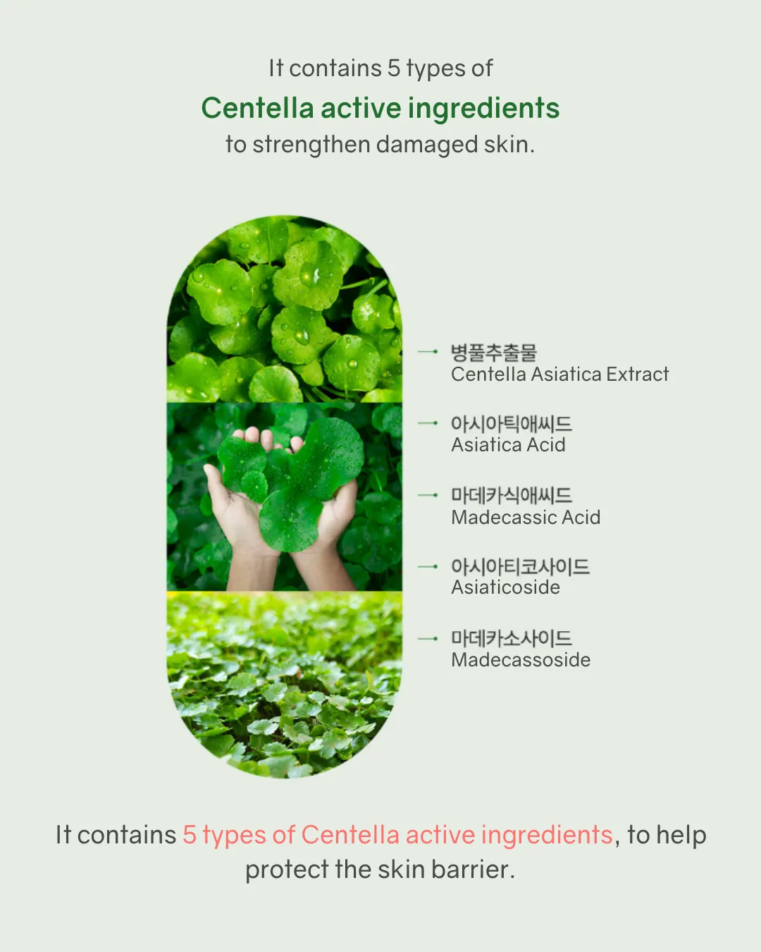 [PROMO] Bonabella Teatree Calming Special