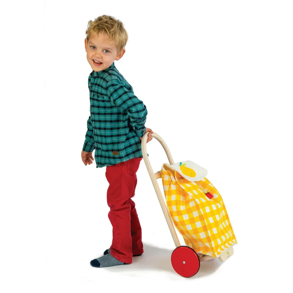 Pull Along Shopping Trolley